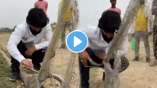 Shocking video of Up King Cobra Attacks Man While He Was Rescuing It In Jaunpur