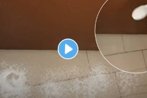 Kitchen Jugaad Video salt at door to keep insects animal away from home kitchen jugaad video