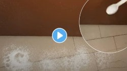 Kitchen Jugaad VIDEO: पावसाळ्यात झोपण्याआधी दरवाजात मीठ नक्की टाका; सकाळी डोळ्यांवर विश्वास बसणार नाही