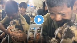 आई गं…! ईदच्या दिवशी कुर्बानी देण्याआधी चिमुकल्यानं काय केलं पाहा; निरागसता पाहून सर्वांच्याच डोळ्यांत आलं पाणी