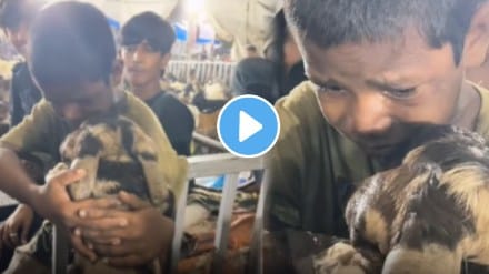 The little boy cried before goat qurbani emotional video goes viral on social media