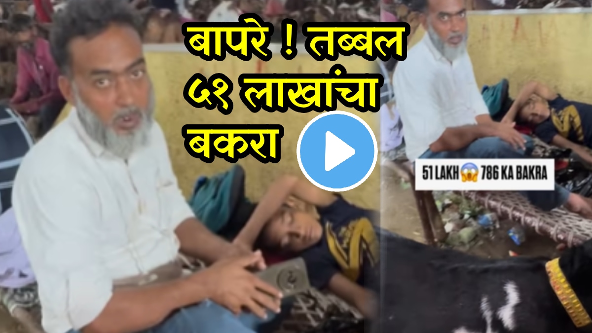 Bakri Eid Goat Demand Goat worth Rs 51 lakh mumbai video goes viral on social media