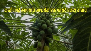 Say Yes To Raw Papaya: The Secret To A Healthier Raw papaya A panacea for many problems know about 5 Amazing Benefits