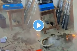 Shocking video the people Burned the snake video goes viral on social media