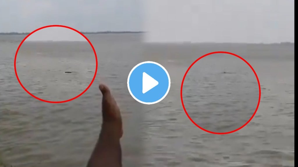 Crocodile Attack video 13 Year Old Boy Disappears Into River In Up shocking video goes viral on social