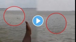 मगरीनं बघता बघता १३ वर्षाच्या मुलाला खाऊन टाकलं; गावकरी बघ राहिले अन्…रडणाऱ्या मुलाचा थरकाप उडवणारा VIDEO व्हायरल