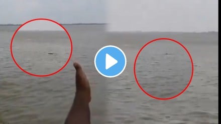 Crocodile Attack video 13 Year Old Boy Disappears Into River In Up shocking video goes viral on social