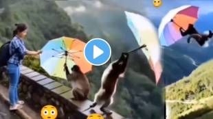 Girl Went To Give An Umbrella To A Monkey But Suddenly Shocking Incident Happned