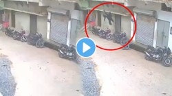 बापरे! कधी सुधारणार हे लोक? १० लाखांच्या हुंड्यासाठी नवऱ्याने बायकोला छतावरून फेकलं; थरकाप उडवणारा VIDEO समोर