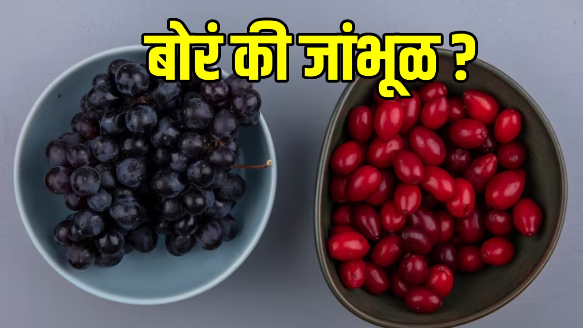 Ber vs Jamun: Here’s what you should you eat in summer