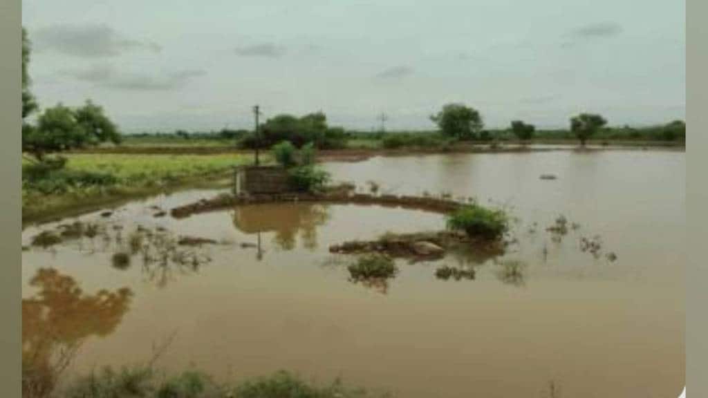 Panchnamas of rain damage in Phaltan