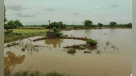 Panchnamas of rain damage in Phaltan