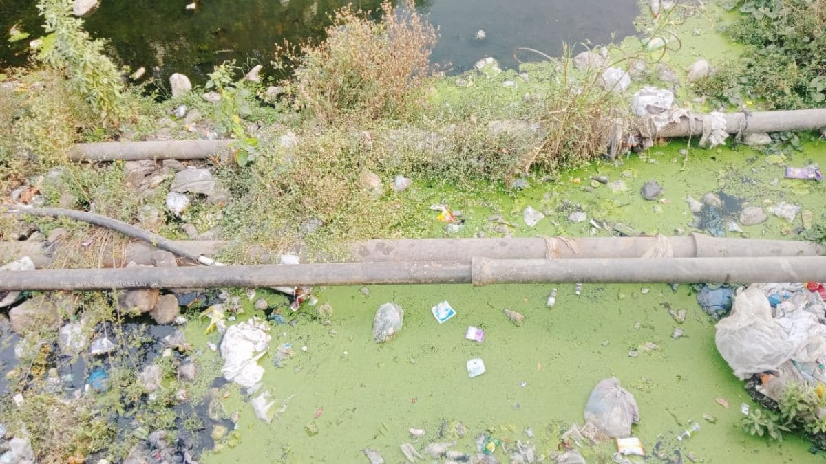 palghar drinking water pipeline nala issue municipal negligence