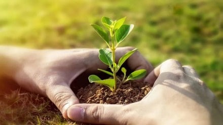 Shivraj Singh Chouhan announces clean plant production centers at three locations in Maharashtra state pune