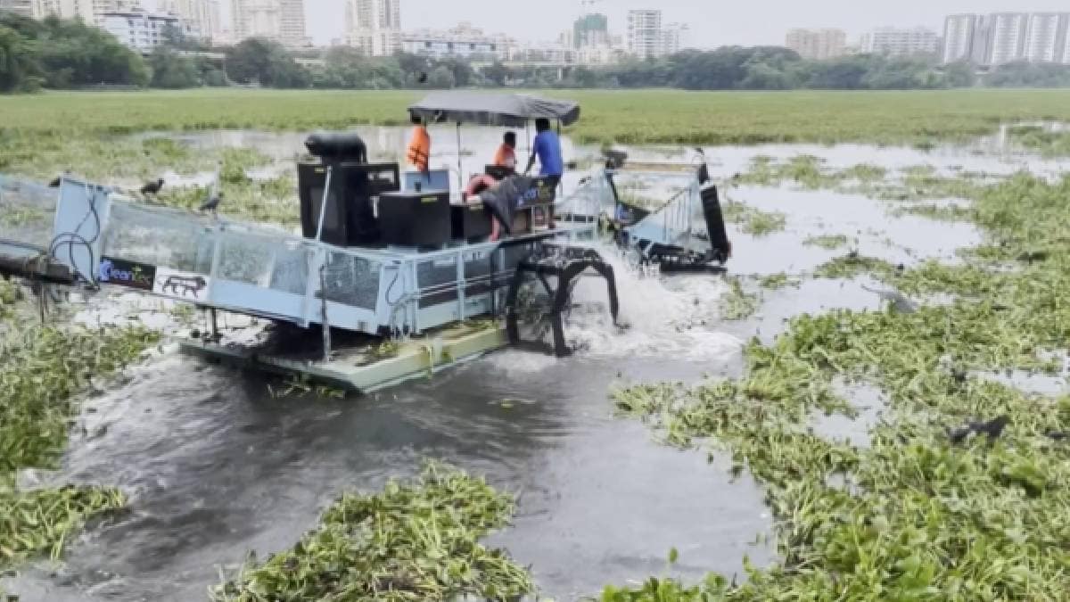 Powai Lake cleaning drive BMC Mumbai Municipal Corporation tons of Water Hyacinth removed