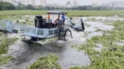 पवई तलाव जलपर्णीमुक्तीकडे! महापालिकेकडून दहा दिवसांत १ हजार मेट्रिक टन सफाई