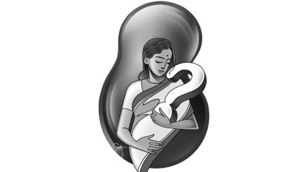 Loksatta chaturang Pregnancy Woman Physical and Mental Preparation