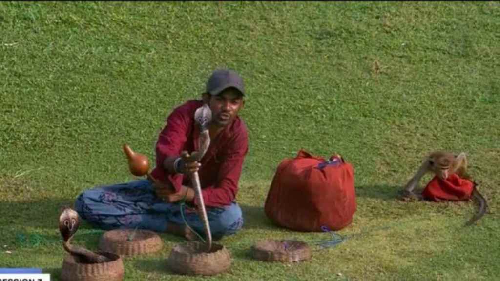 Snake Charmer Watch Sri Lanka vs Bangladesh Galle Test With Snakes and Monkey Photos Goes Viral