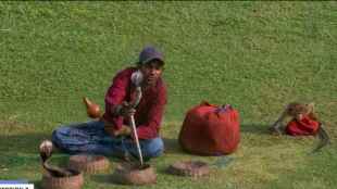 Snake Charmer Watch Sri Lanka vs Bangladesh Galle Test With Snakes and Monkey Photos Goes Viral