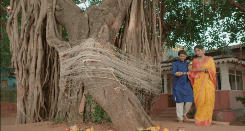 vat purnima 2025 vrat important of 5 fruits