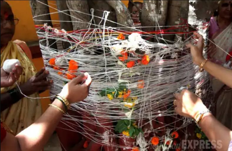 vat purnima 2025 vrat important of 5 fruits