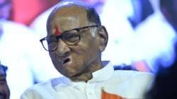 स्थानिक स्वराज्य संस्थांच्या निवडणुकांबाबत आघाडीचा लवकरच निर्णय, शरद पवार यांची माहिती
