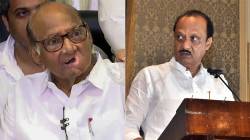 Sharad Pawar: राष्ट्रवादीचे दोन गट एकत्र येणार का? आता शरद पवारांनी मांडली स्पष्ट भूमिका; म्हणाले, “भाजपाबरोबर…”