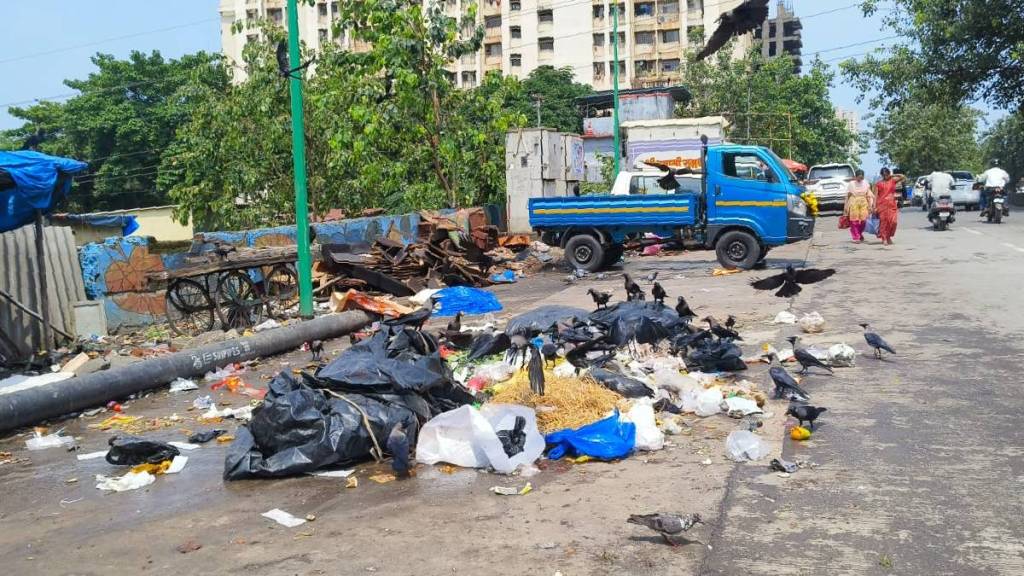 garbage piles in Thane city fearing health issues