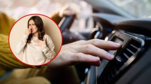 Tips to remove bad smell from car naturally
