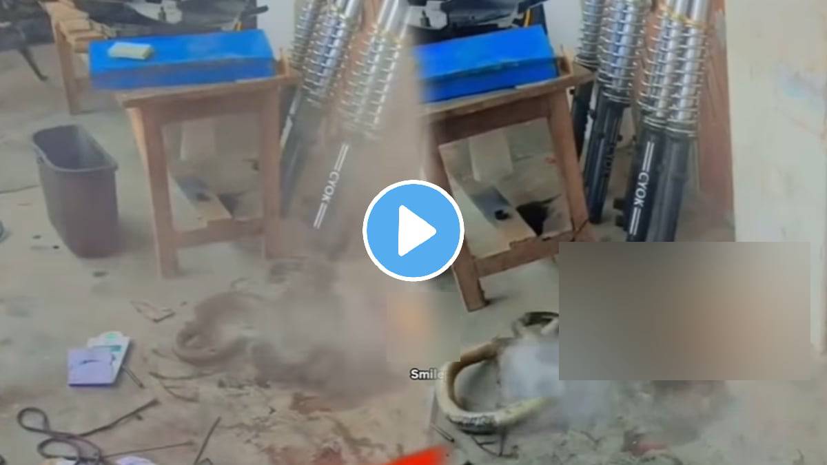 Today's Viral News Updates