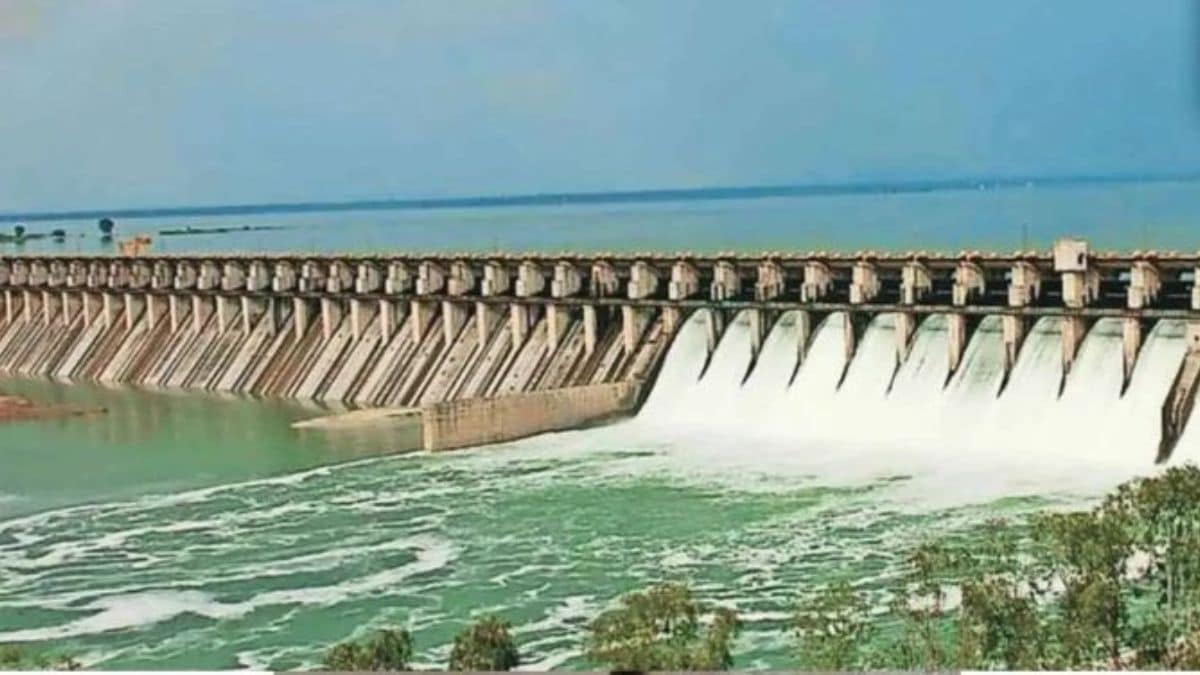 solapur rainfall ujani dam water levels rise