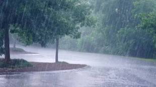 Some state areas have light showers Vidarbha Marathwada face rising summer heat now