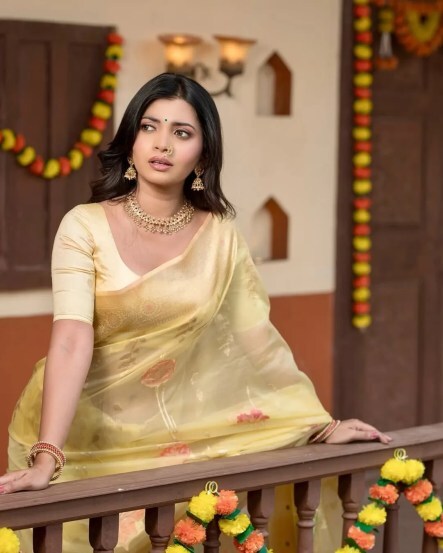 Vat Purnima 2025 Saree Colour Puja Tips