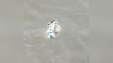 Oil tanker falls into creek from Versova Bridge Bhayander accident news