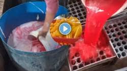 स्वस्तात, मस्त ५ रुपयांचं आईस्क्रीम खाताय? मग कसं बनवतात तेही बघाच; VIDEO पाहून डोळ्यांवर बसणार नाही विश्वास