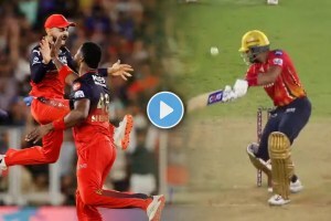 Virat Kohli and RCB Wild Celebration of Shreyas Iyer Wicket by Romario Shephard vs PBKS IPL 2025 Final Watch Video