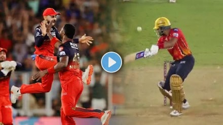 Virat Kohli and RCB Wild Celebration of Shreyas Iyer Wicket by Romario Shephard vs PBKS IPL 2025 Final Watch Video