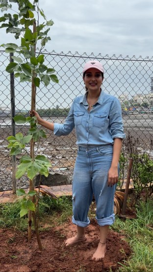 World Environment Day 2025 Photos