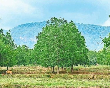 Government siege Naxalism, Naxalism, Abuzmad , 