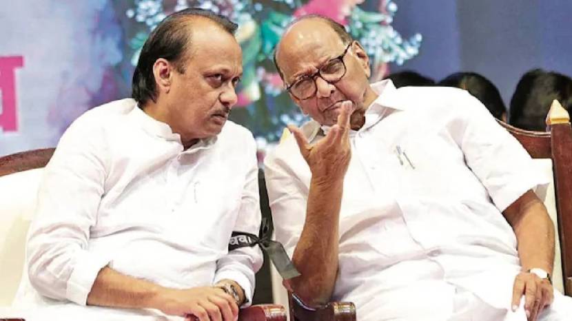 ajit pawar sharad pawar (PTI Photo)