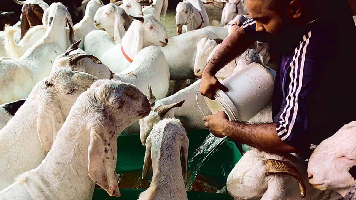 Till late night it was unclear if Bakri Eid prayers were allowed at August Kranti Maidan