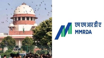 mmrda thane project