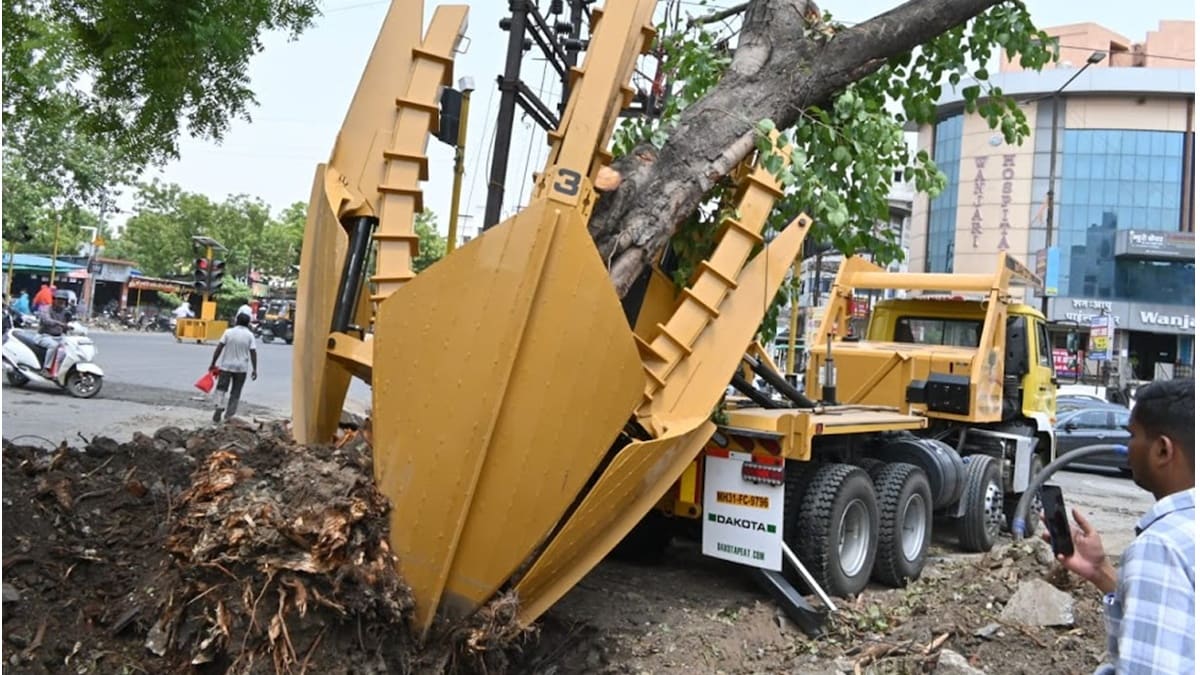 peepal tree transplant Nagpur