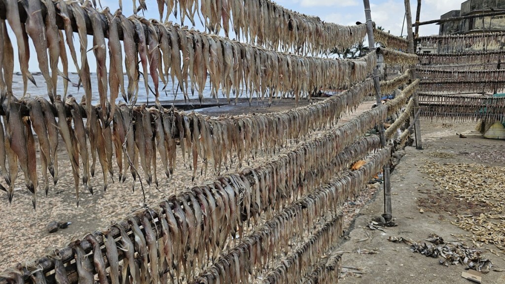 shortage of dried fish bhayandar