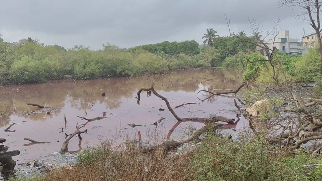 vasai virar chemical water destroys Mangroves