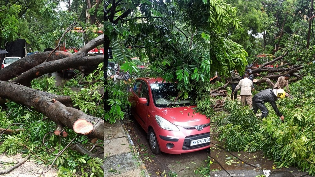 pune student injured after tree falls