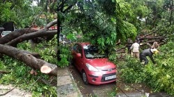 पुणे : पावसामुळे झाड पडून विद्यार्थीनी जखमी