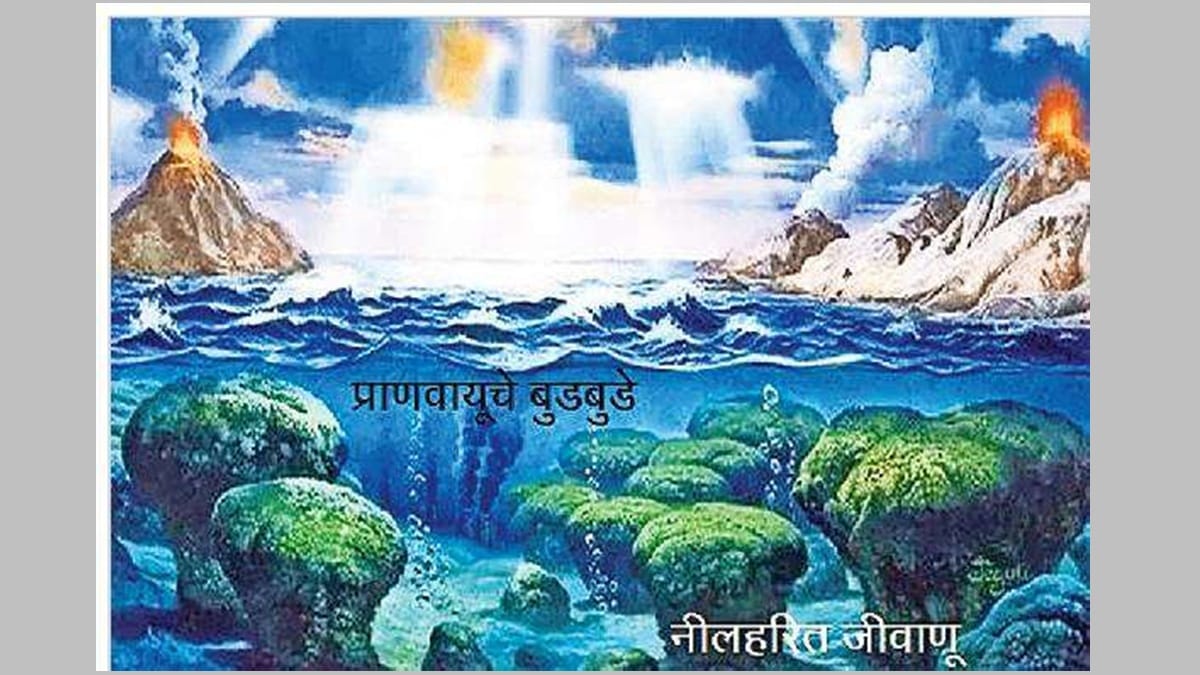 oxygen latest news in marathi