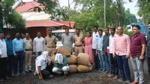 nanded 18 quintal ganja seized