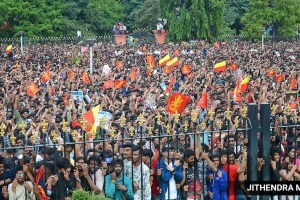 rcb stampede